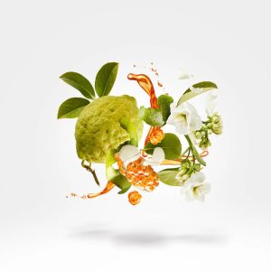 xerjoff-naxos-perfume-notas-olfativas-maison-rivel-alta-perfumaria-nicho